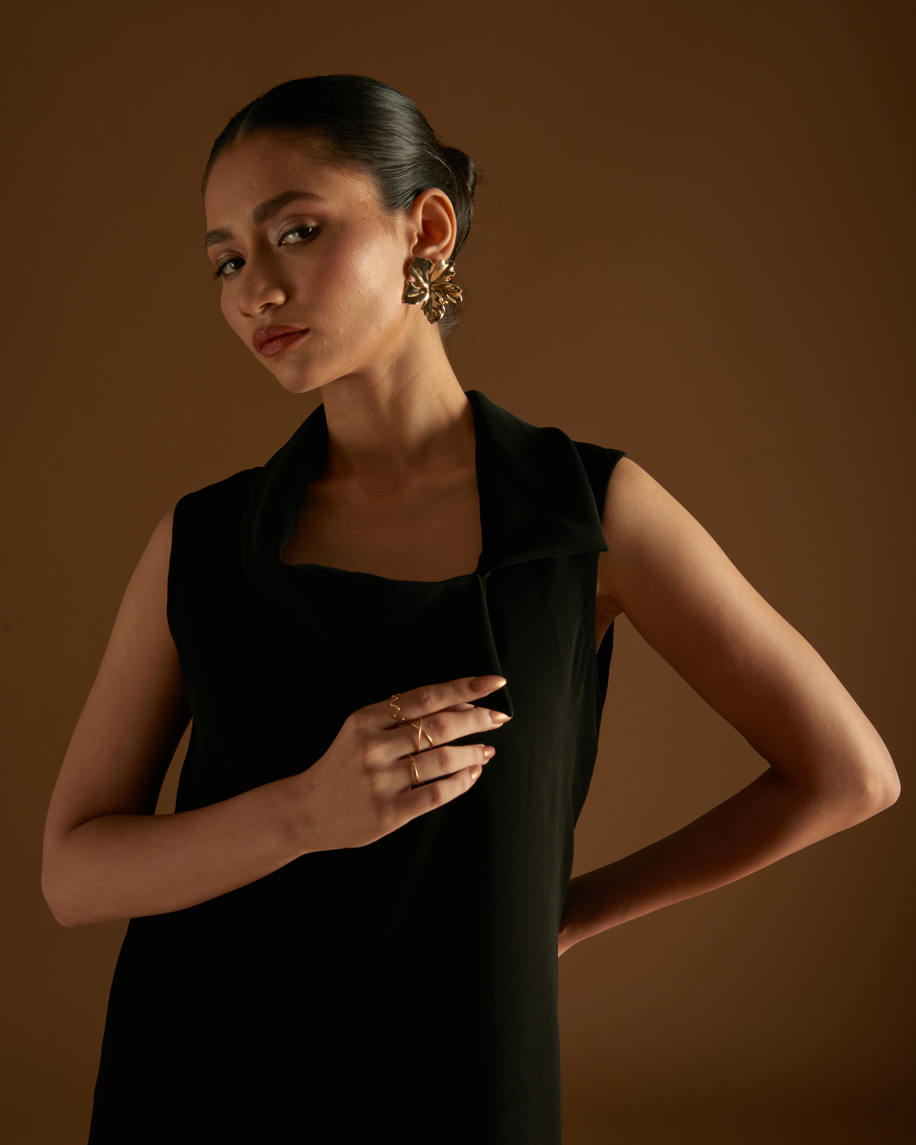 Rose Blossom Dress Black