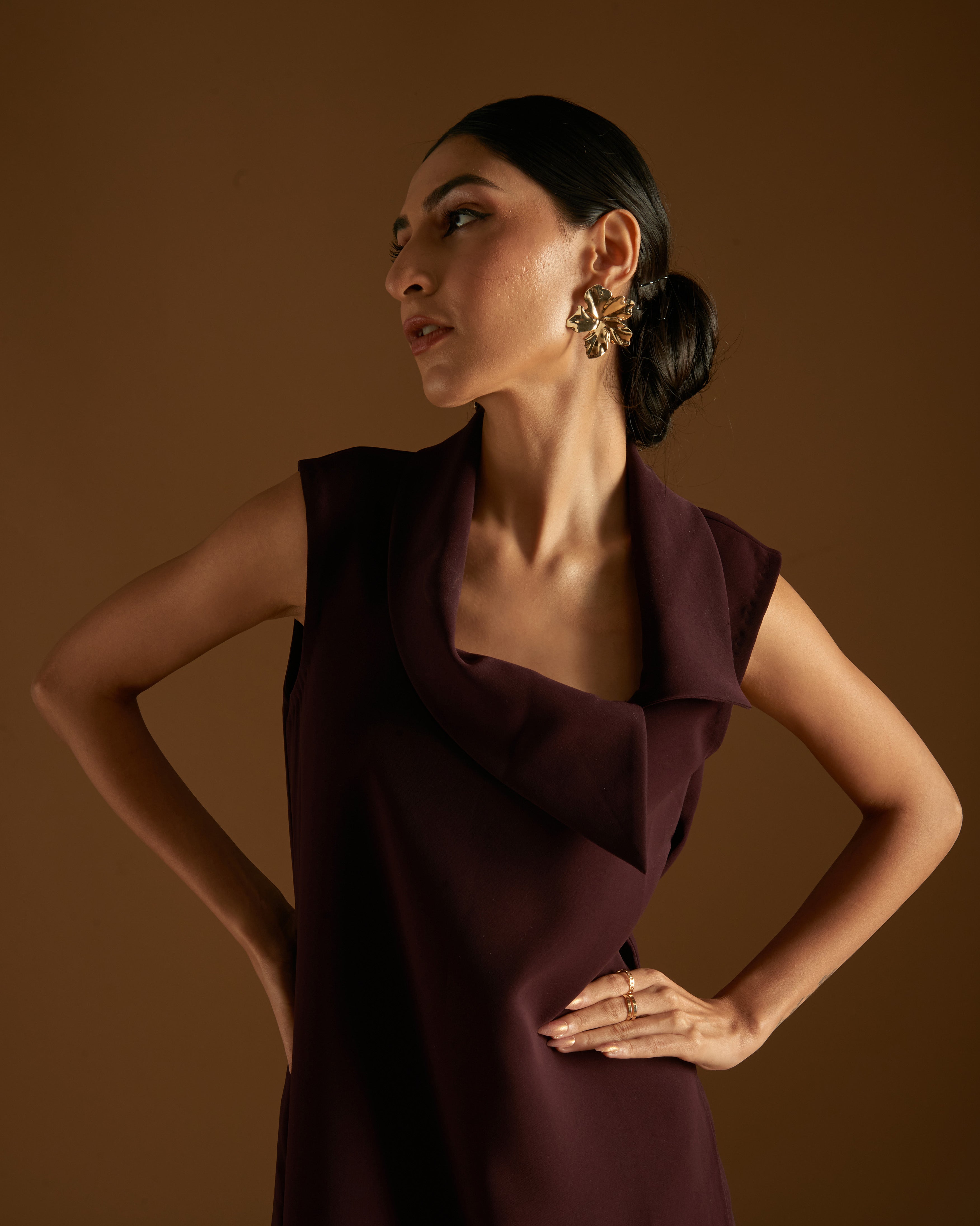 Rose Blossom Dress Maroon