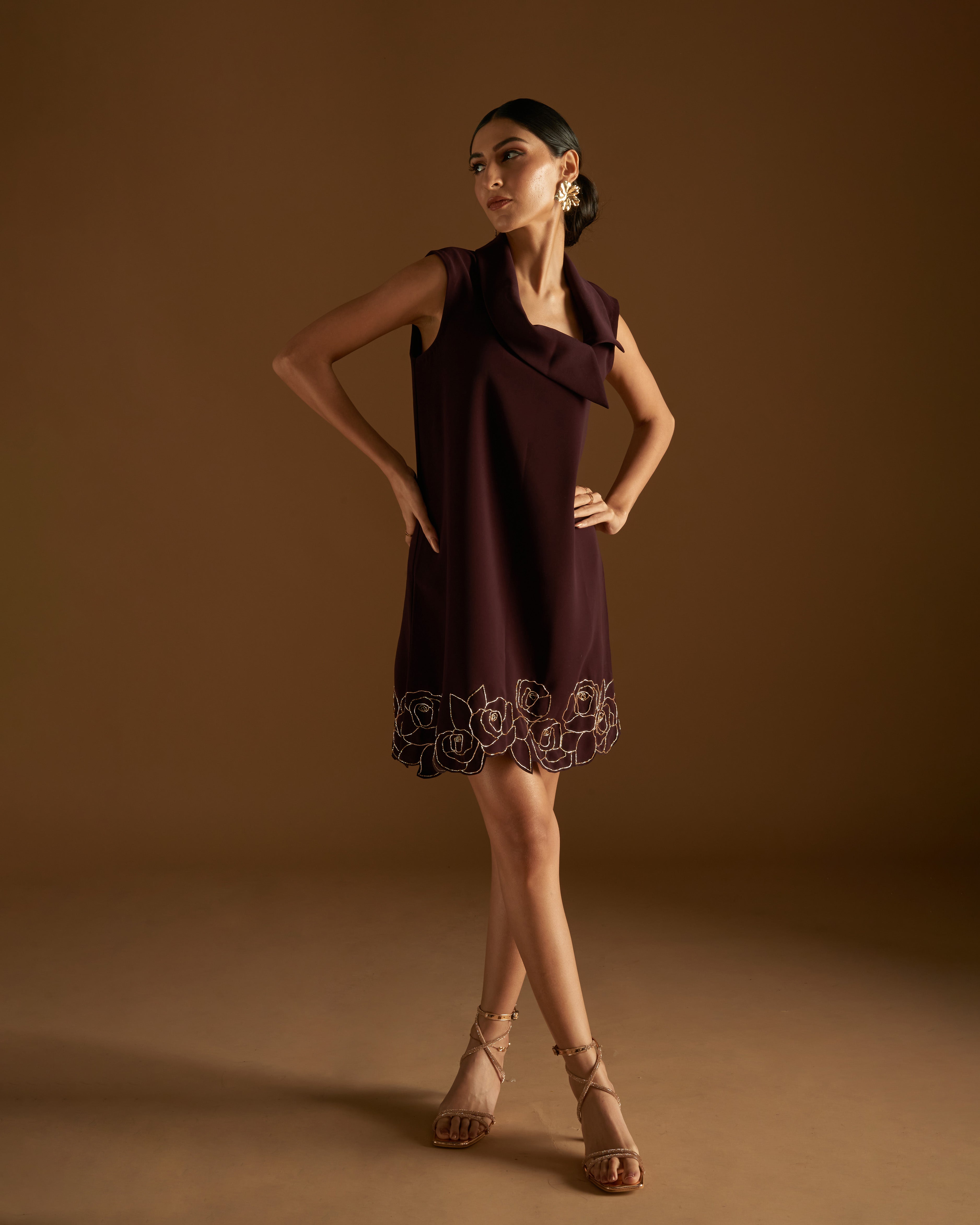 Rose Blossom Dress Maroon